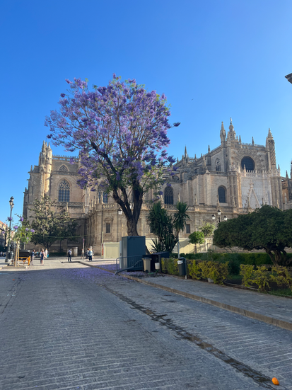 Seville Cathedral in Southern Spain
