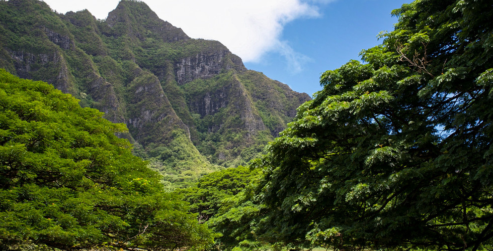 Kuala Ranch Tour in North Shore, Oahu, Hawaii