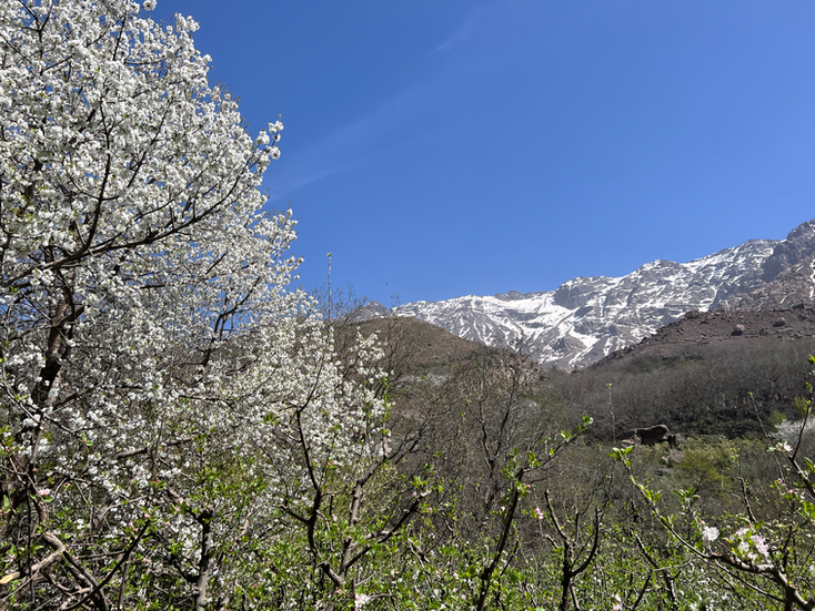 Hiking through the Atlas Mountains in Marrakech Morocco