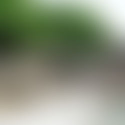 A Summary of my Time in Koh Samui: Beauty Surrounded and Recovery of the Soul