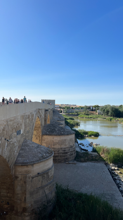 Roman Bridge in Cordoba, Spain