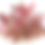 Thumbnail: Alternanthera Rosaefolia - Live Aquatic Plant