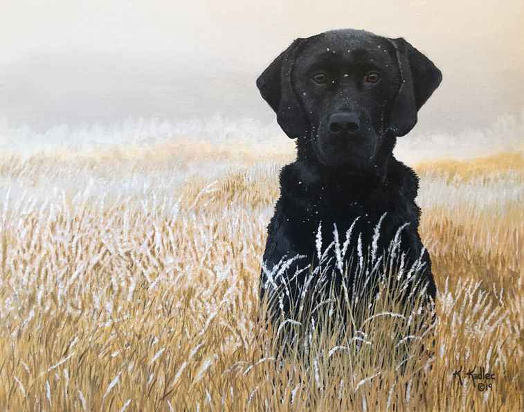 Original painting of black labador retriever sitting in frosty wheat field
