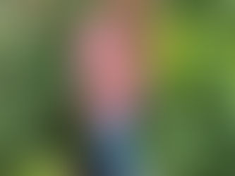 How to stick to a healthy diet