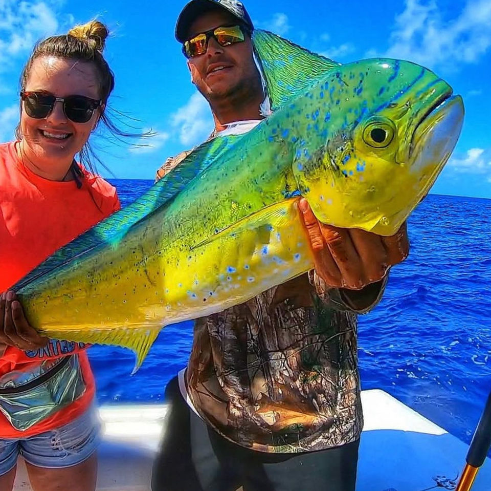 Mahi Mahi, fishing, private, charter, fish, caribbean, fun day out
