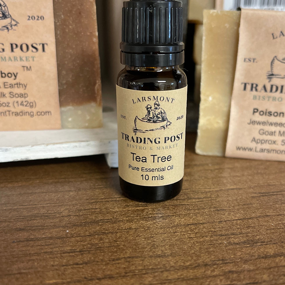 Pure Essential Oil - Tea Tree