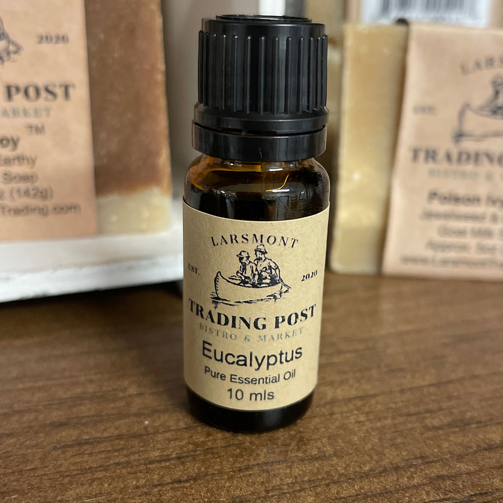 Pure Essential Oil - Eucalyptus