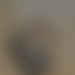 Shooting Investigation After ShotSpotter Activation