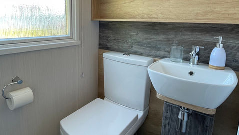 Toilet and sink with loo roll, glass and soap dispenser by a opaque window.