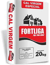 CAL VIRGEM ESPECIAL FORTLIGA.png