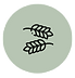 icon2_edited.png