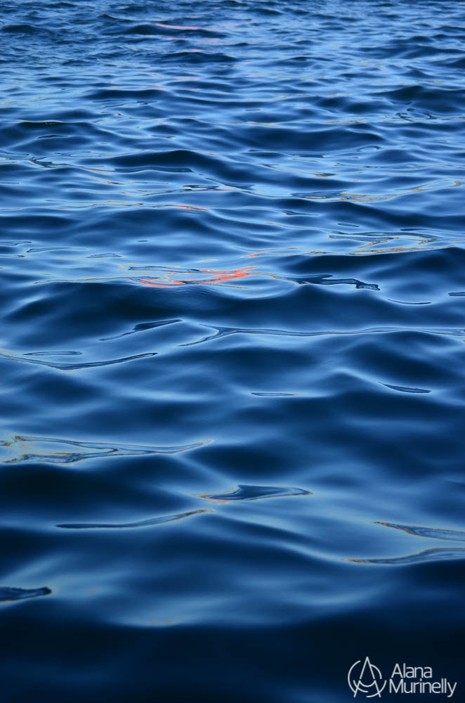 Amadas A Flor Da Pele Portfolio wix com