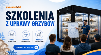 Szkolenia z uprawy grzybów