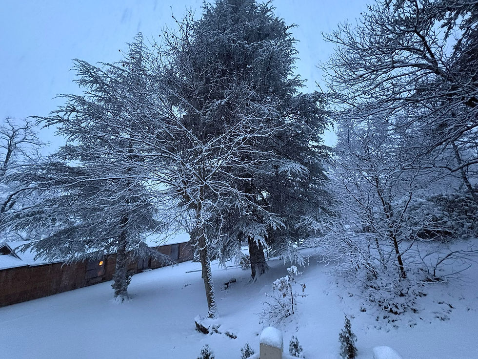 ToolsXChange: Day 3 of 5!