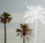 1D7CF42B-DADB-46D1-9939-6B4FE78BDFE0_edited.jpg