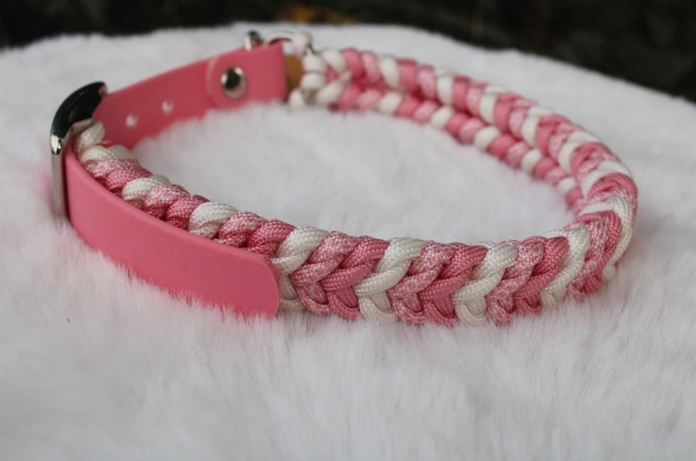 Miniature : Snake Cute