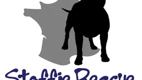 Sauver un Staffie !