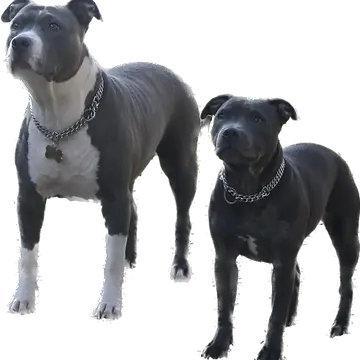 cf0d00e2-bf2f-4f91-b711-d9393b596c5d.webp