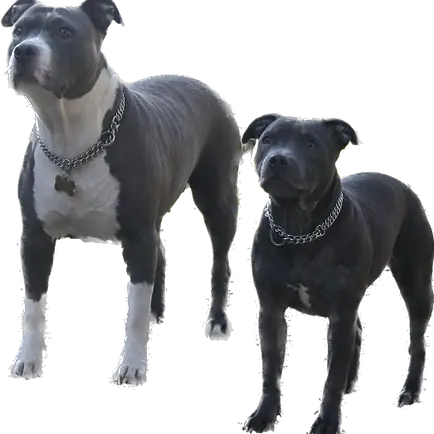 cf0d00e2-bf2f-4f91-b711-d9393b596c5d.webp