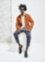 Percival Collection Image