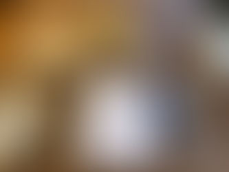 40's VINTAGE SWEDISH ARMY METAL BUTTON SHIRT JACKET スウェーデン軍 メタルボタン ジャケット