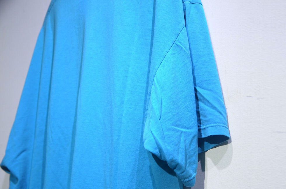 サムネイル： 80s Vintage Jerzees HUMMINGBIRD ZIG ZAG T Shirt Made In USA ヴィンテージ ジャージーズ Tシャツ