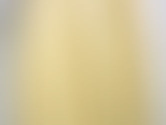 80s Vintage LACOSTE KANOKO Sweat Shirt Yellow Made In France フランス ラコステ 鹿の子 スウェット