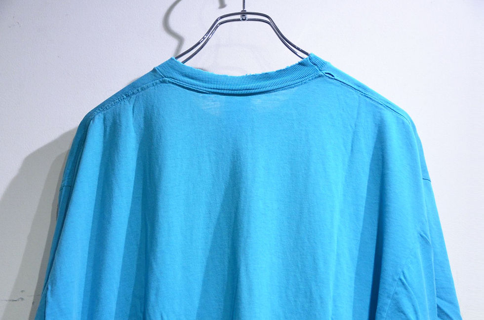 サムネイル： 80s Vintage Jerzees HUMMINGBIRD ZIG ZAG T Shirt Made In USA ヴィンテージ ジャージーズ Tシャツ