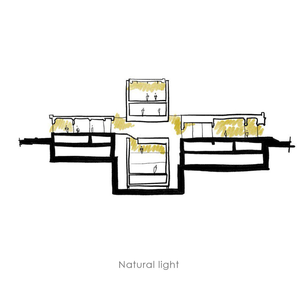 Parti_Natural light