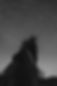 Black and white silhouette of person looking at swirling star trails.