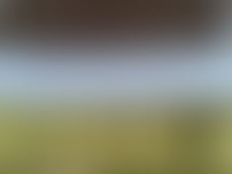 Possum Pants - tell us what you want!