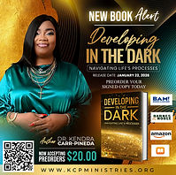 Developing In The Dark.jpg