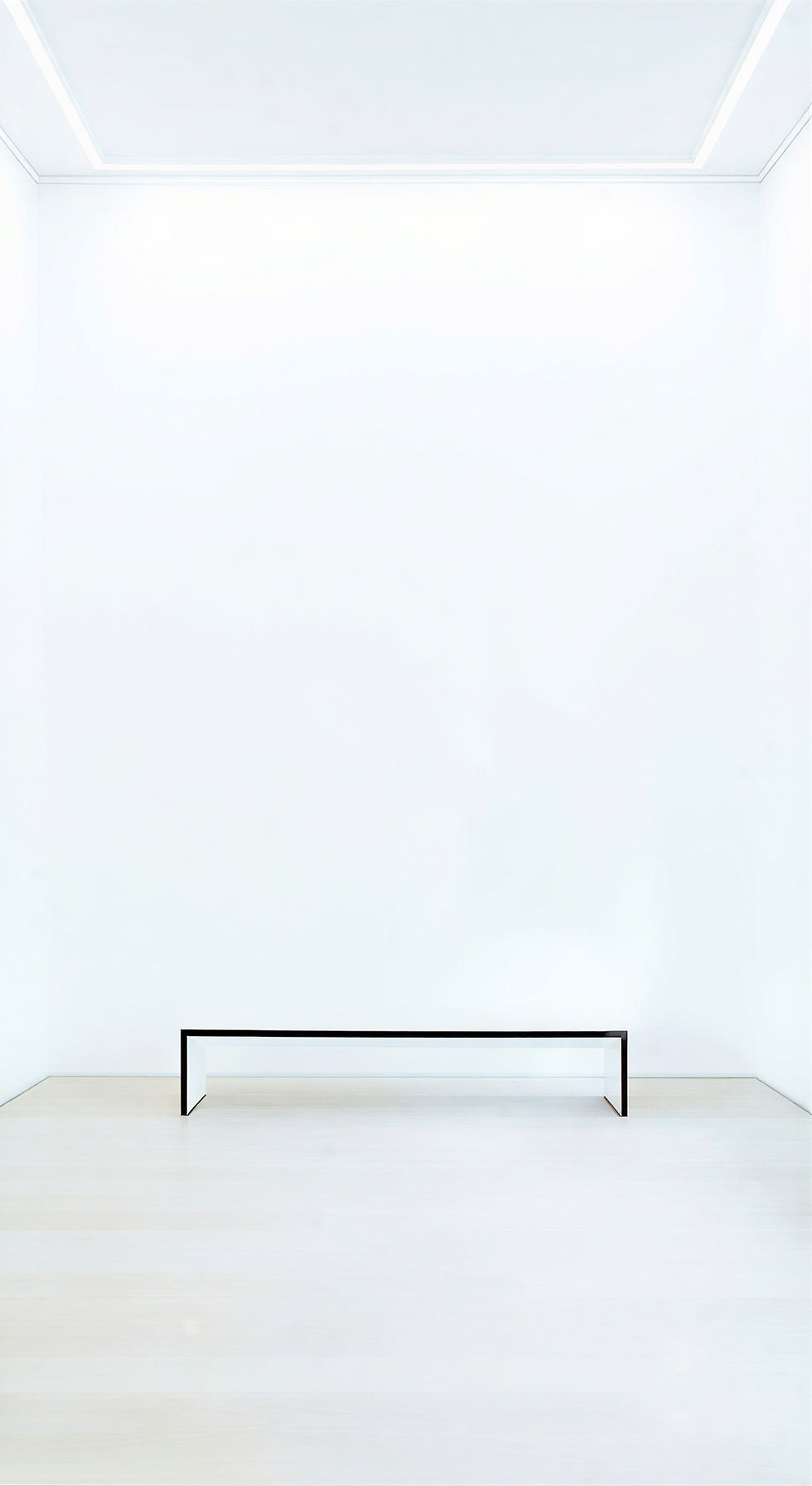 Saentis-Galerie-AG-Frontbild-leer-hoch2.jpg