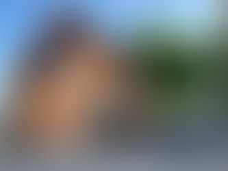 LETZTE DATEN: Sommer unter den Bäumen