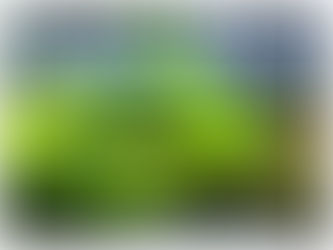 Aktuelle News zum Firmweg 2024/2025
