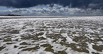 IMG_6090.jpeg