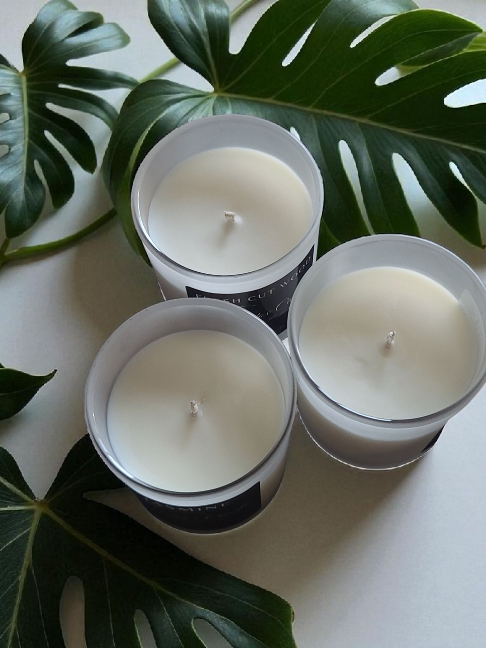 Three white candles with visible wicks and leaves in background, Maddox Candles