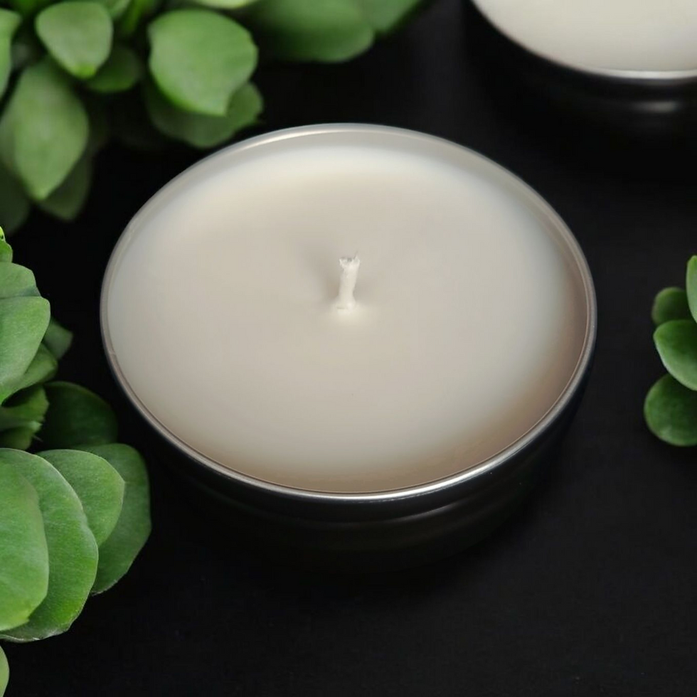 Close-up of a candle, Island Life 10oz, surrounded by green succulents, island life scented candle.