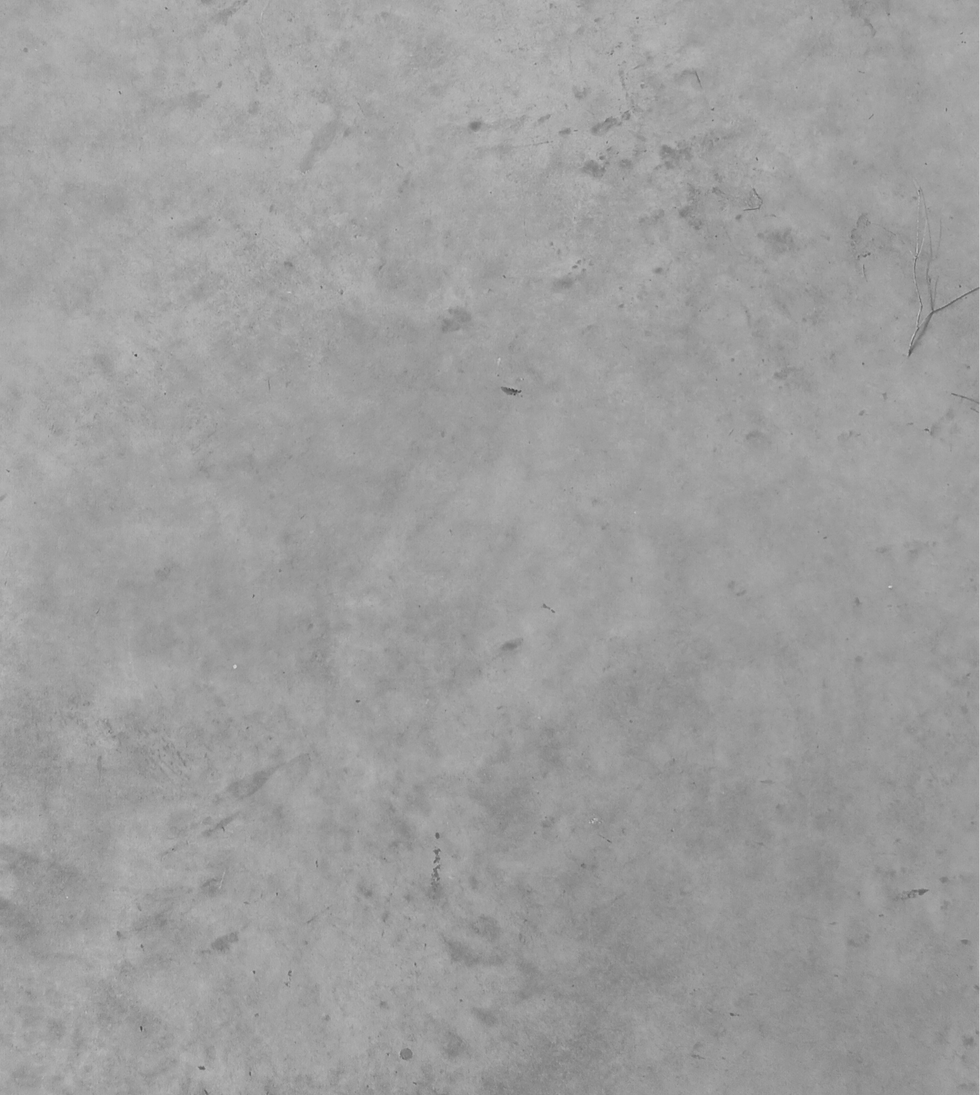 backgroundwithfilter_edited.png