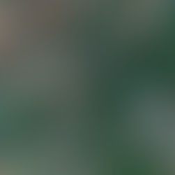 Revisione pianta farmacie illegittima se l’attività istruttoria é incompleta