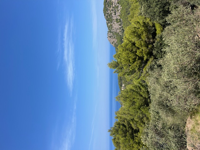 View from the road