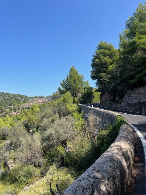 The road between Soller and Deia