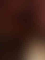 Barrels resting inside Caves at Jarvis Estate