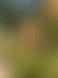 Sign at entry to Chandon main building