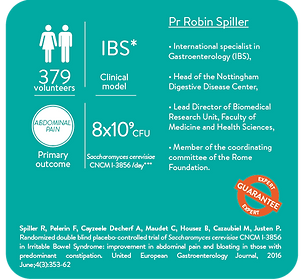 ibs2.png