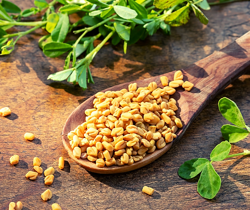 Healthy Men S Hormone Promotes Good Heart Health