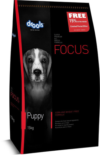 cat and mouse puzzle