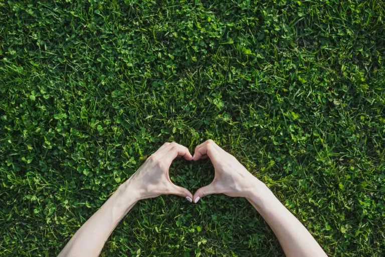 Heart on Grass