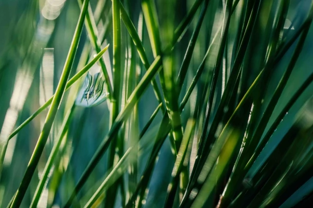 Sustainability Option 4 Complete.jpg.webp