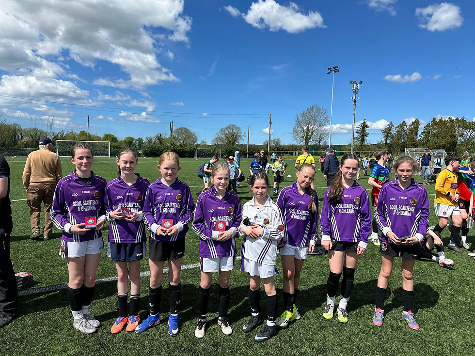 FAI Soccer County Finals